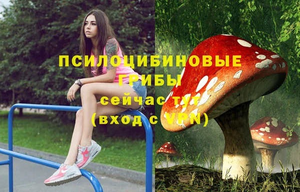 бутират Каменка