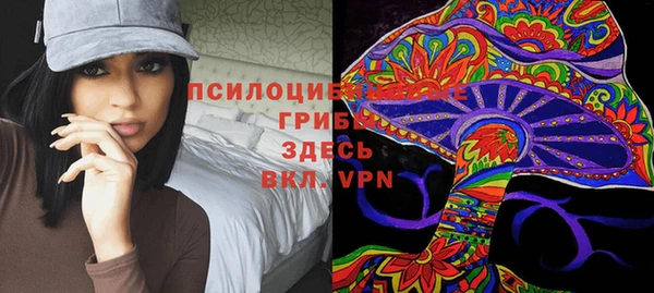 бутират Каменка