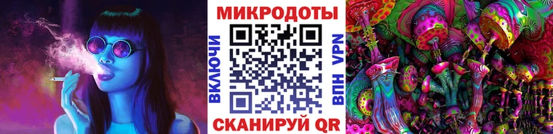 Купить где  Биробиджан  Псилоцибиновые грибы мицелий 